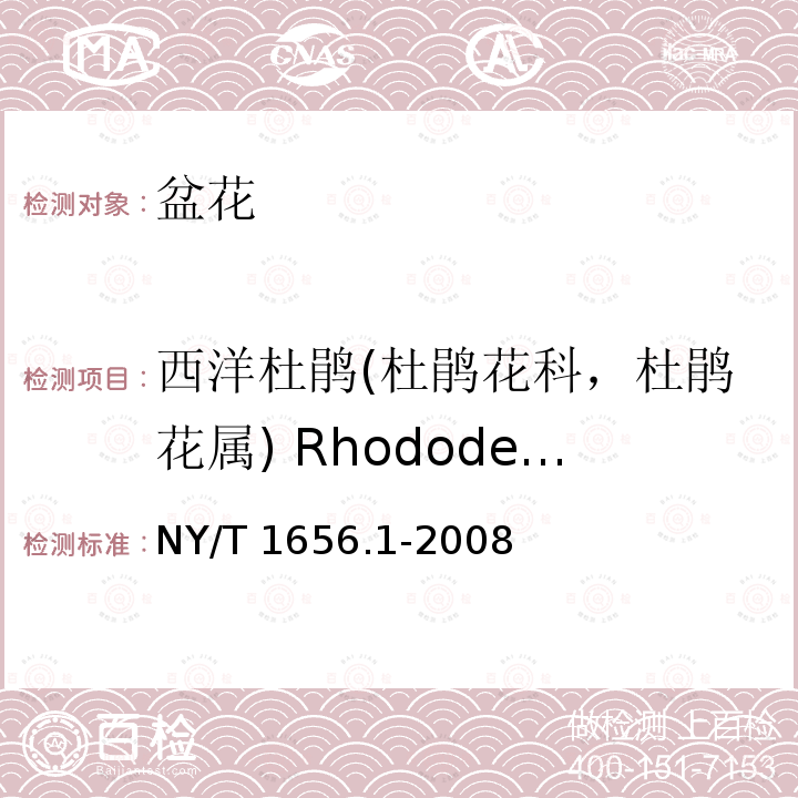 西洋杜鹃(杜鹃花科，杜鹃花属) Rhododendron spp. NY/T 1656.1-2008 花卉检验技术规范 第1部分:基本规则