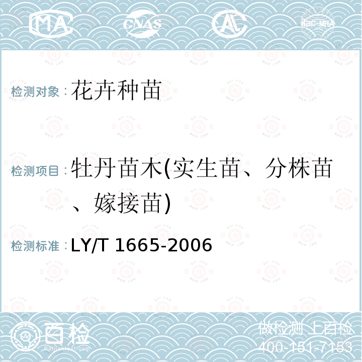 牡丹苗木(实生苗、分株苗、嫁接苗) LY/T 1665-2006 牡丹苗木质量