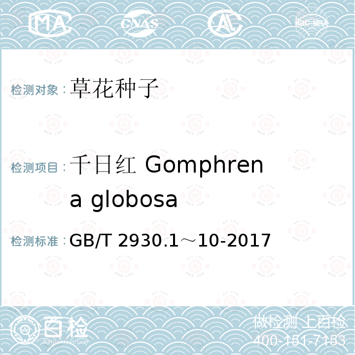 千日红 Gomphrena globosa GB/T 2930.1～10-2017  