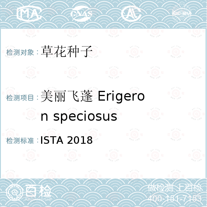 美丽飞蓬 Erigeron speciosus ISTA 2018  