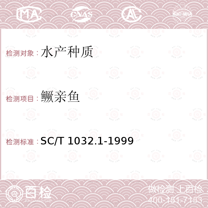 鳜亲鱼 SC/T 1032.1-1999 鳜养殖技术规范 亲鱼