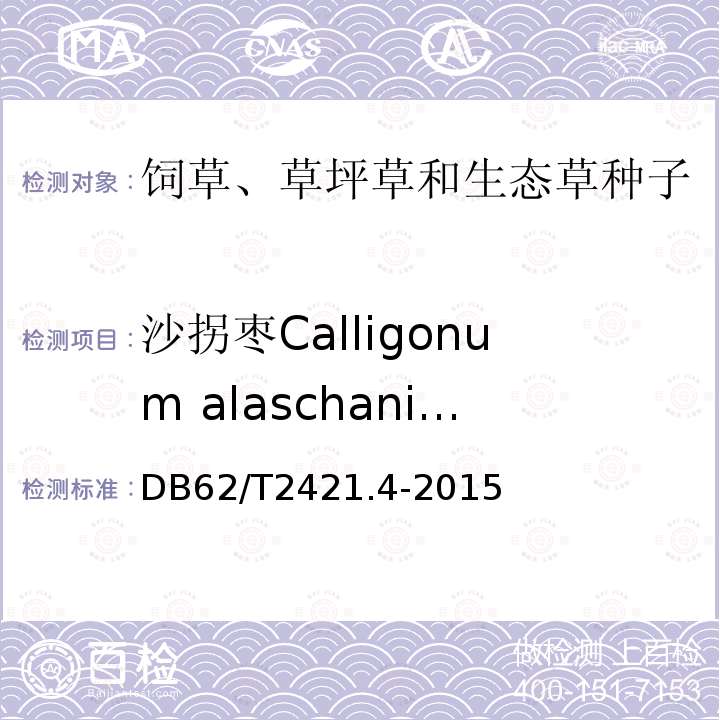 沙拐枣Calligonum alaschanicum DB62/T 2421.4-2015 主要草种子质量 第4部分 蓼科草种子