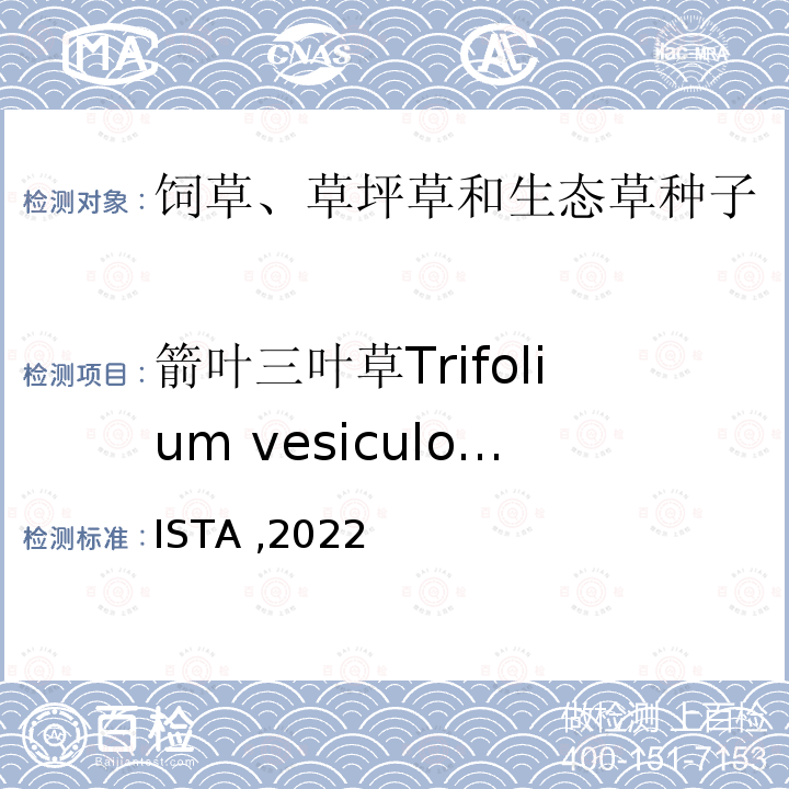箭叶三叶草Trifolium vesiculosum ISTA ,2022  