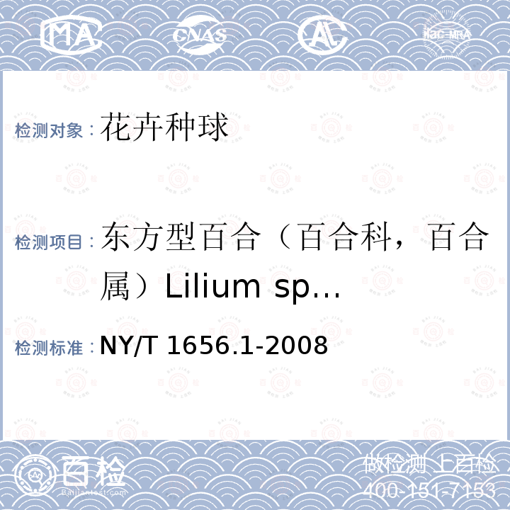 东方型百合（百合科，百合属）Lilium spp.(Oriental hybrids) NY/T 1656.1-2008 花卉检验技术规范 第1部分:基本规则