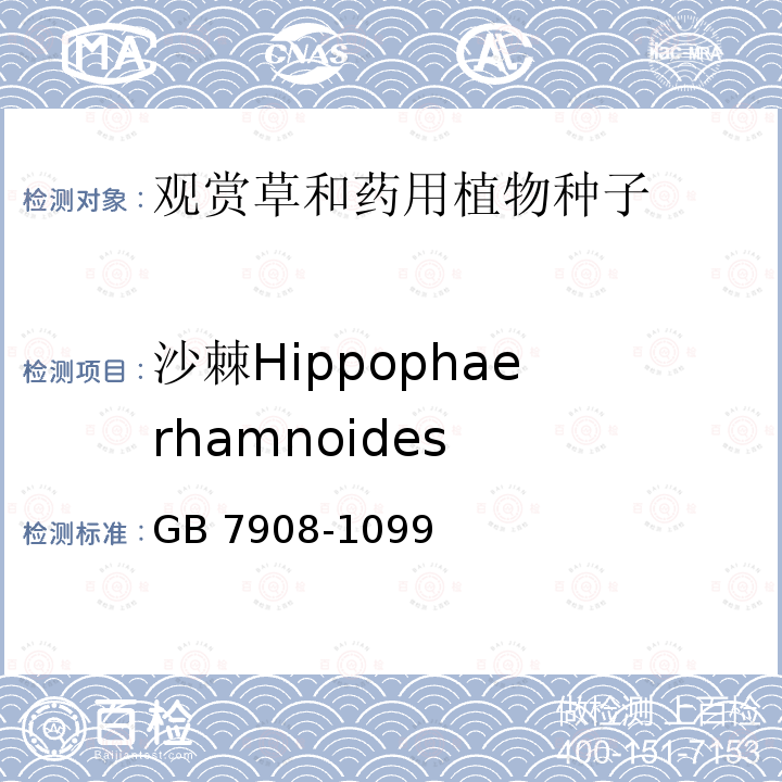 沙棘Hippophae rhamnoides 沙棘Hippophae rhamnoides GB 7908-1099
