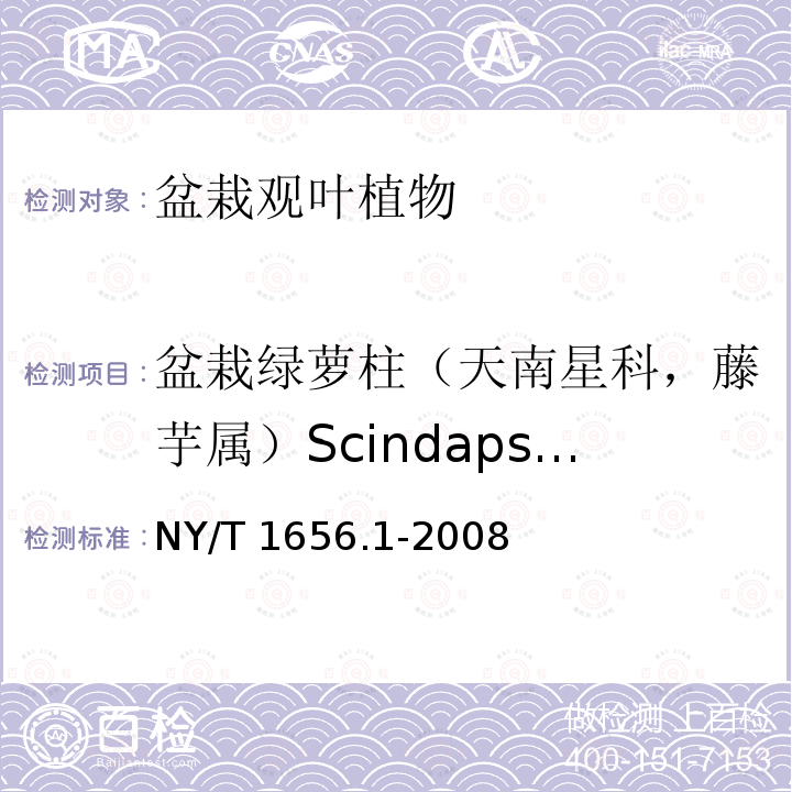 盆栽绿萝柱（天南星科，藤芋属）Scindapsus aureus NY/T 1656.1-2008 花卉检验技术规范 第1部分:基本规则