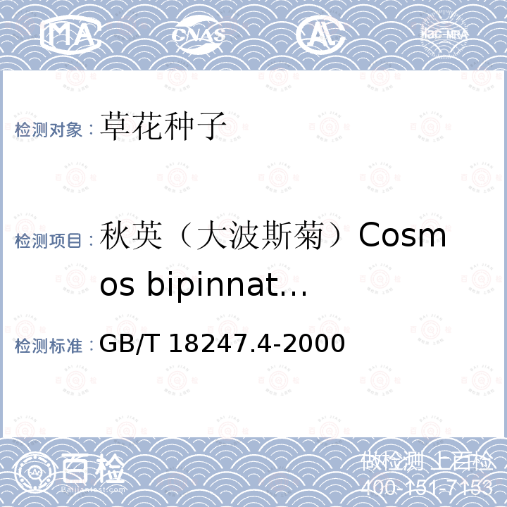 秋英（大波斯菊）Cosmos bipinnatus GB/T 18247.4-2000 主要花卉产品等级 第4部分:花卉种子