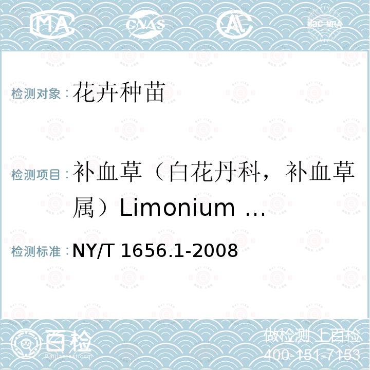补血草（白花丹科，补血草属）Limonium sinuatum L. 补血草（白花丹科，补血草属）Limonium sinuatum L. NY/T 1656.1-2008