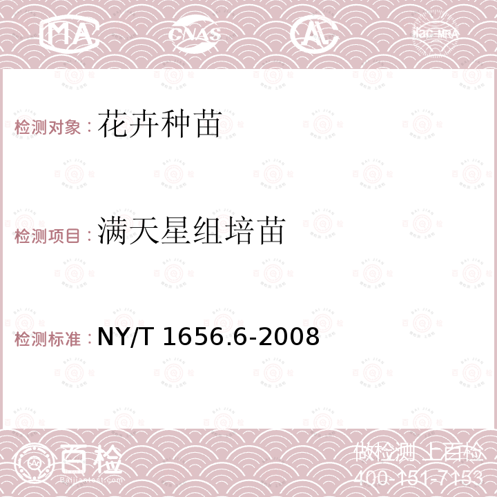 满天星组培苗 NY/T 1656.6-2008 花卉检验技术规范 第6部分:种苗检验