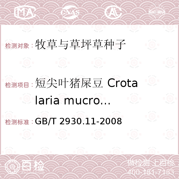 短尖叶猪屎豆 Crotalaria mucronata 短尖叶猪屎豆 Crotalaria mucronata GB/T 2930.11-2008