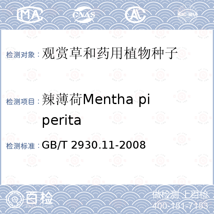 辣薄荷Mentha piperita GB/T 2930.11-2008 草种子检验规程 检验报告