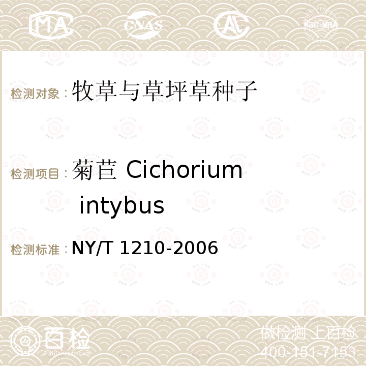 菊苣 Cichorium intybus NY/T 1210-2006 牧草与草坪草种子认证规程