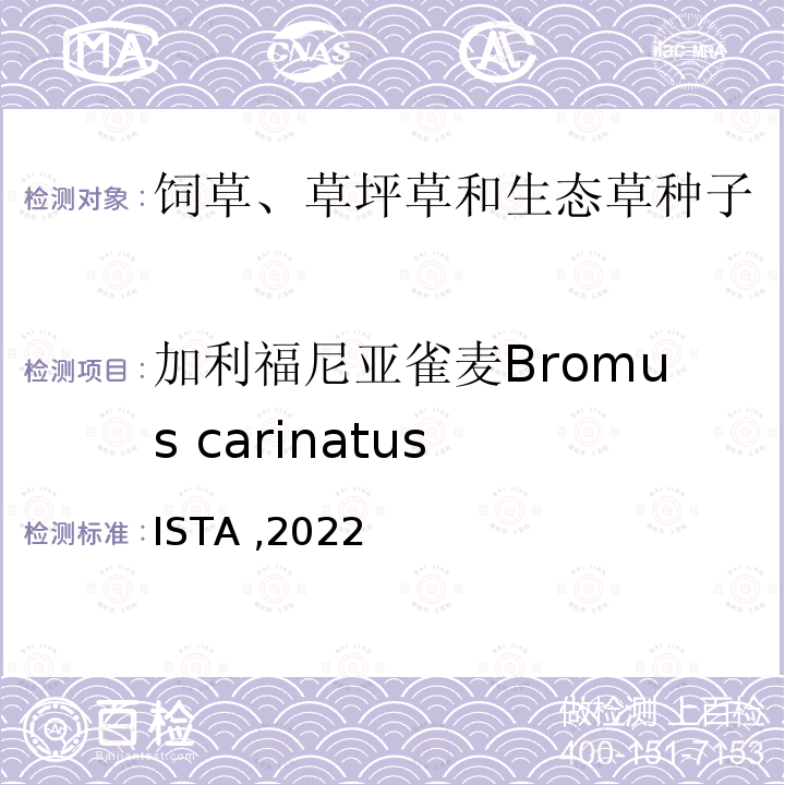 加利福尼亚雀麦Bromus carinatus ISTA ,2022  
