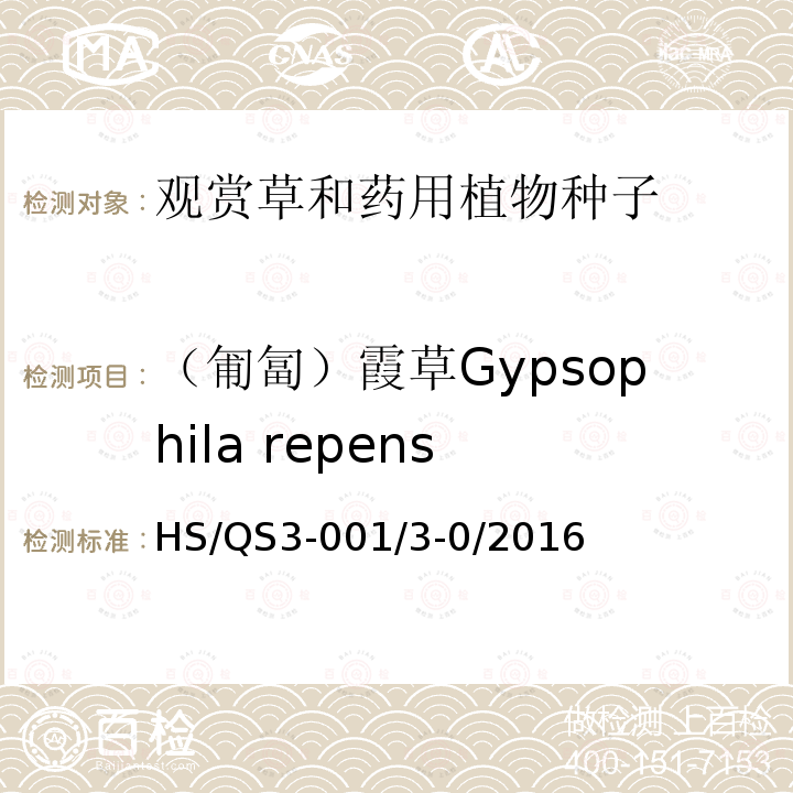 （匍匐）霞草Gypsophila repens HS/QS3-001/3-0/2016  