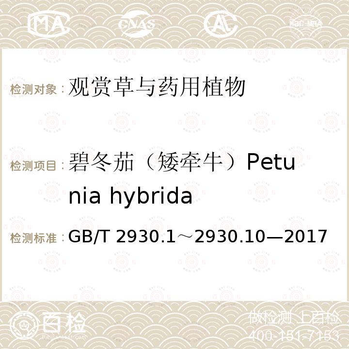 碧冬茄（矮牵牛）Petunia hybrida GB/T 2930  .1～2930.10—2017