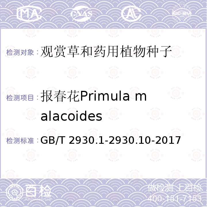 报春花Primula malacoides GB/T 2930.1-2930  .10-2017