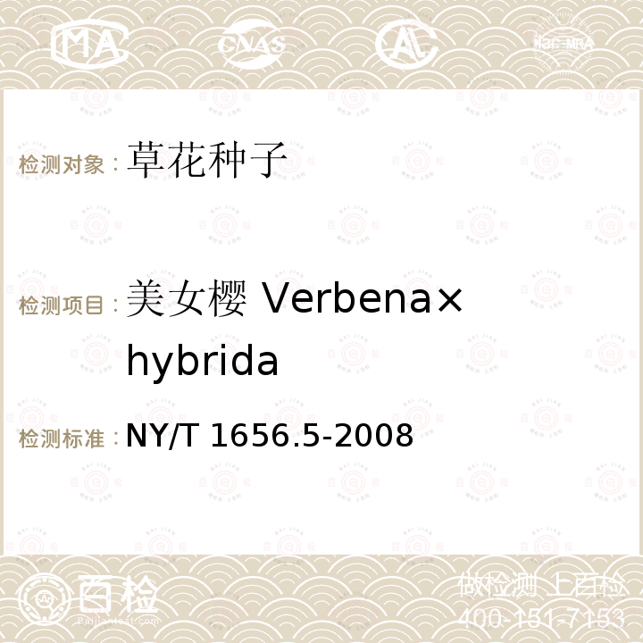 美女樱 Verbena×hybrida NY/T 1656.5-2008 花卉检验技术规范 第5部分:花卉种子检验