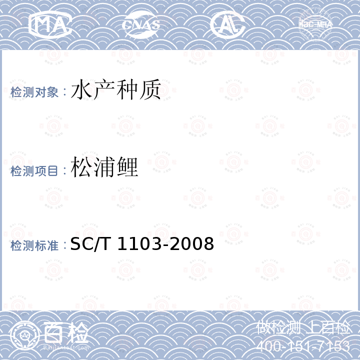 松浦鲤 松浦鲤 SC/T 1103-2008