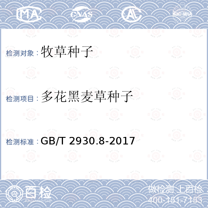 多花黑麦草种子 多花黑麦草种子 GB/T 2930.8-2017