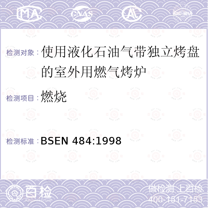 燃烧 BSEN 484:1998  