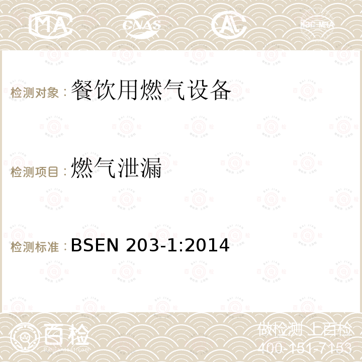 燃气泄漏 BSEN 203-1:2014  