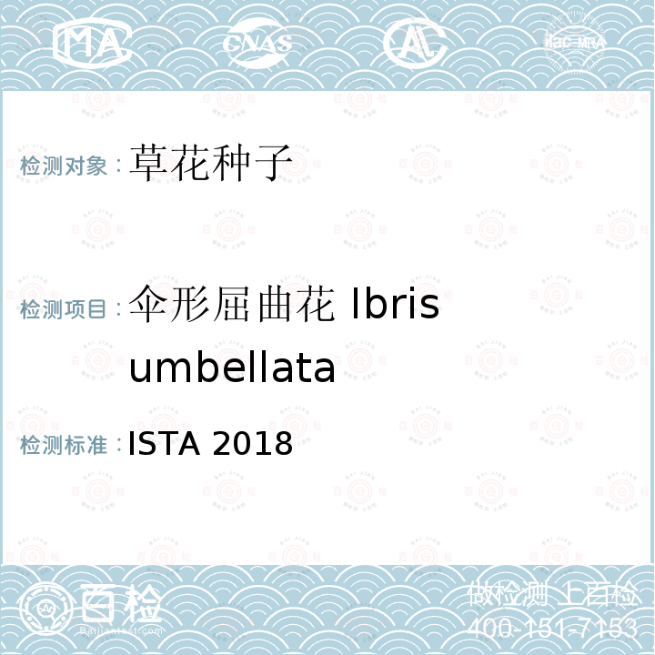 伞形屈曲花 Ibris umbellata ISTA 2018  