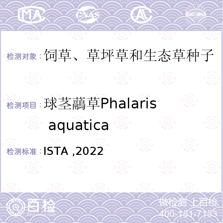 球茎虉草Phalaris aquatica ISTA ,2022  