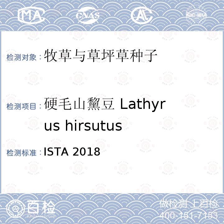硬毛山黧豆 Lathyrus hirsutus 硬毛山黧豆 Lathyrus hirsutus ISTA 2018