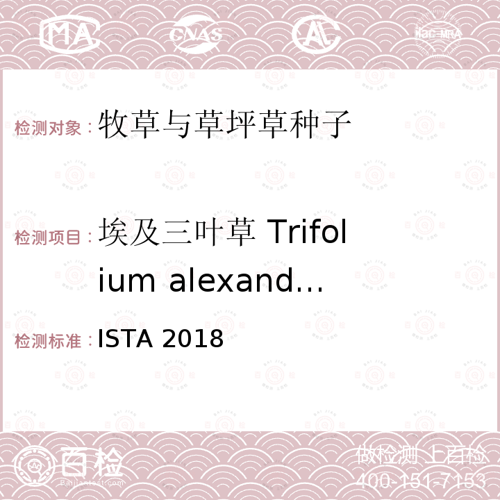 埃及三叶草 Trifolium alexandrinum ISTA 2018  