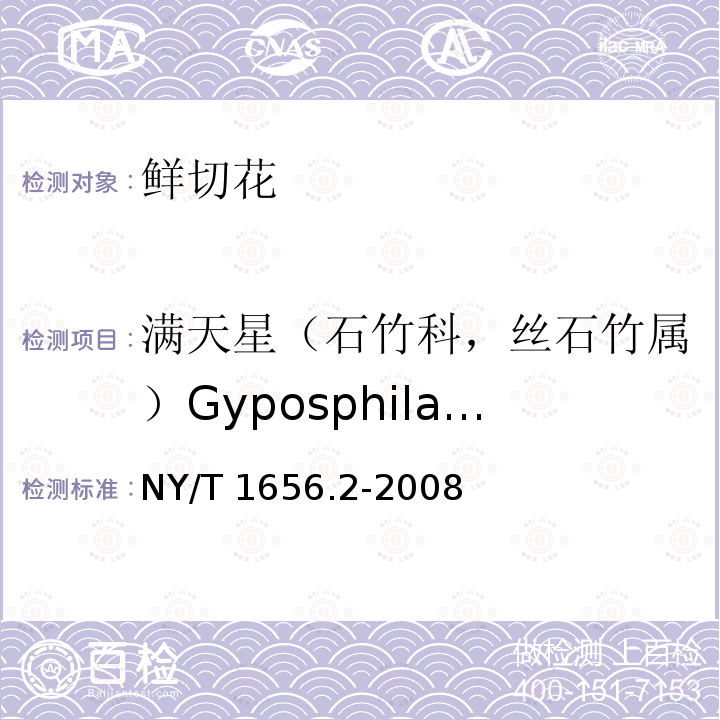 满天星（石竹科，丝石竹属）Gyposphila elegans NY/T 1656.2-2008 花卉检验技术规范 第2部分:切花检验