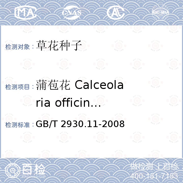 蒲苞花 Calceolaria officinalis GB/T 2930.11-2008 草种子检验规程 检验报告