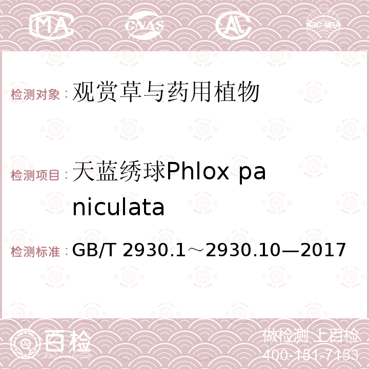 天蓝绣球Phlox paniculata 天蓝绣球Phlox paniculata GB/T 2930.1～2930.10—2017
