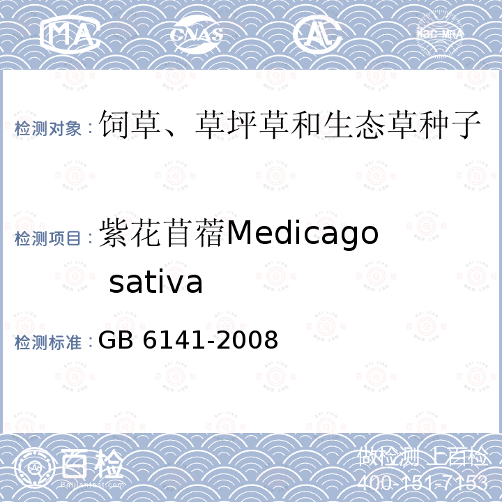 紫花苜蓿Medicago sativa GB 6141-2008 豆科草种子质量分级
