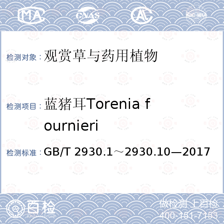 蓝猪耳Torenia fournieri GB/T 2930  .1～2930.10—2017