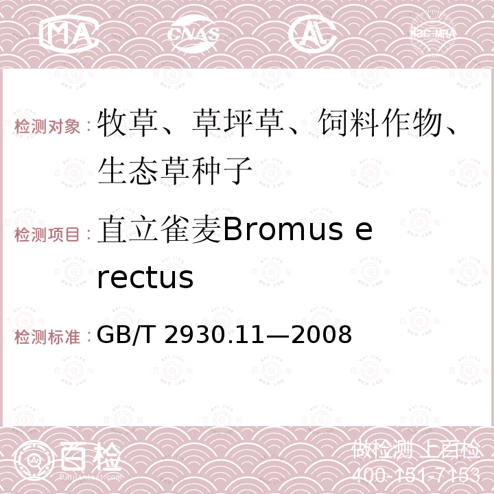 直立雀麦Bromus erectus 直立雀麦Bromus erectus GB/T 2930.11—2008
