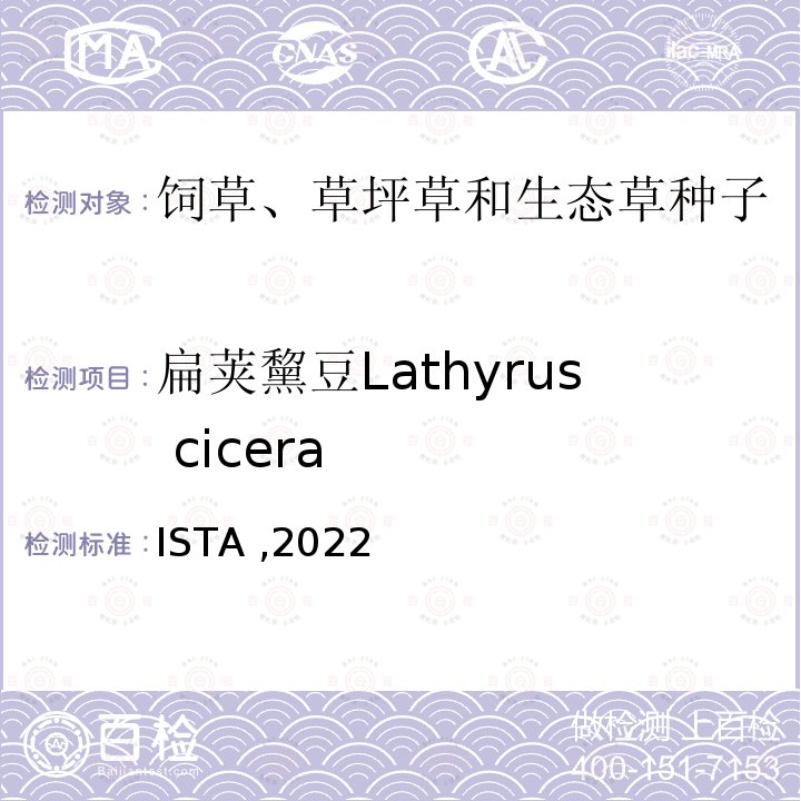 扁荚黧豆Lathyrus cicera 扁荚黧豆Lathyrus cicera ISTA ,2022