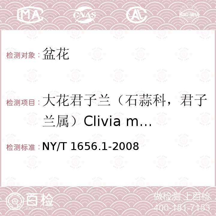 大花君子兰（石蒜科，君子兰属）Clivia miniata NY/T 1656.1-2008 花卉检验技术规范 第1部分:基本规则