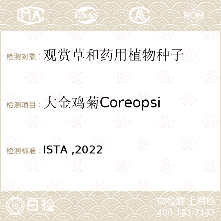 大金鸡菊Coreopsis lanceolata ISTA ,2022  