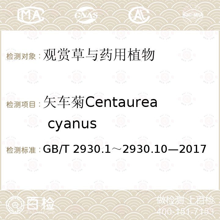 矢车菊Centaurea cyanus GB/T 2930  .1～2930.10—2017