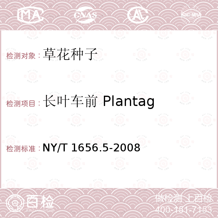 长叶车前 Plantago lanceolata 长叶车前 Plantago lanceolata NY/T 1656.5-2008