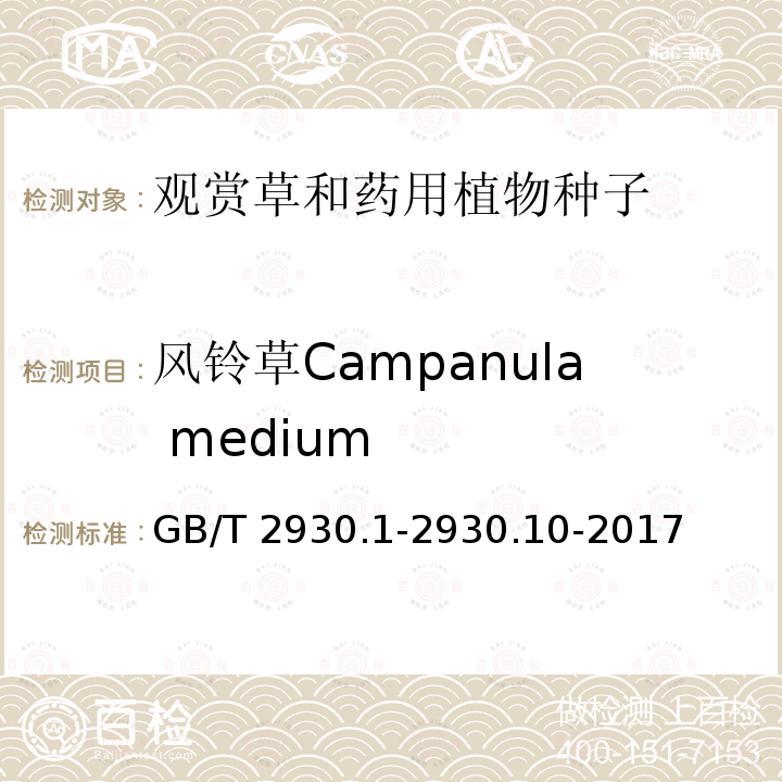 风铃草Campanula medium GB/T 2930.1-2930  .10-2017