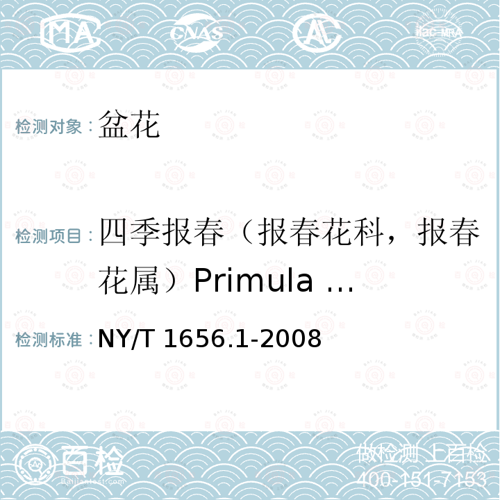 四季报春（报春花科，报春花属）Primula obconica NY/T 1656.1-2008 花卉检验技术规范 第1部分:基本规则