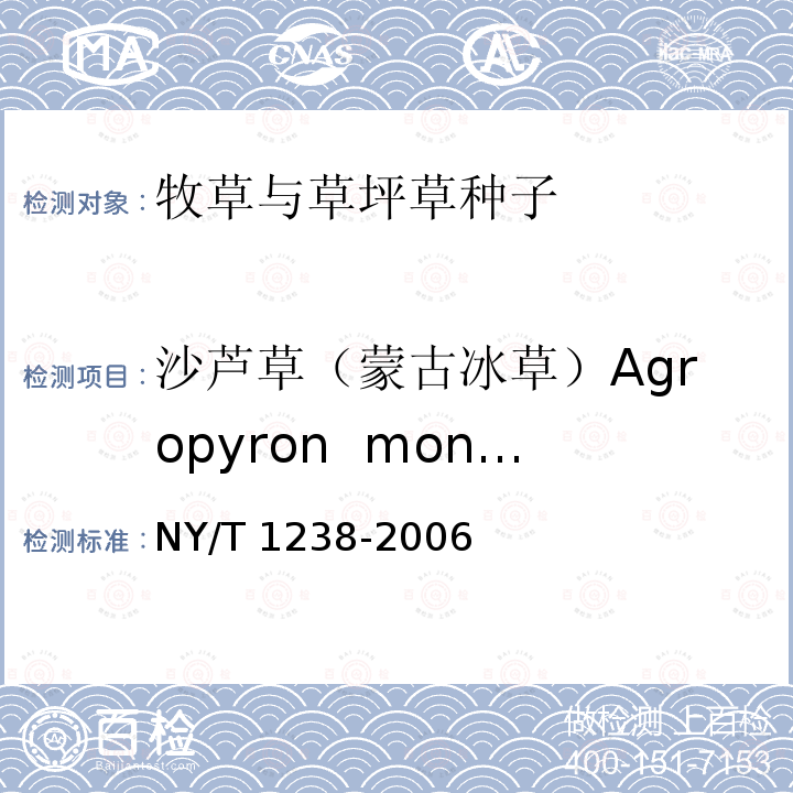 沙芦草（蒙古冰草）Agropyron  mongolicum NY/T 1238-2006 牧草与草坪草种苗评定规程