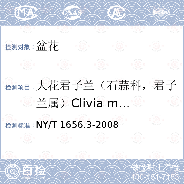 大花君子兰（石蒜科，君子兰属）Clivia miniata 大花君子兰（石蒜科，君子兰属）Clivia miniata NY/T 1656.3-2008