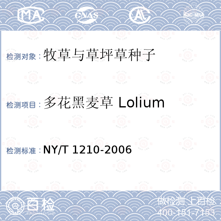 多花黑麦草 Lolium multiflorum NY/T 1210-2006 牧草与草坪草种子认证规程