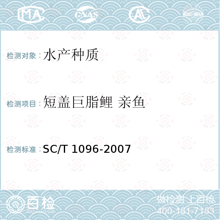 短盖巨脂鲤 亲鱼 短盖巨脂鲤 亲鱼 SC/T 1096-2007