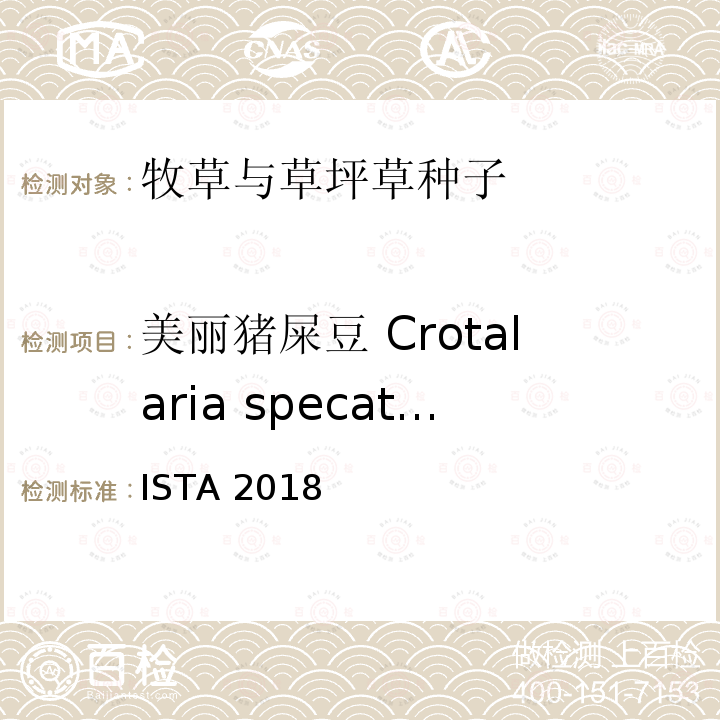 美丽猪屎豆 Crotalaria specatabilis 美丽猪屎豆 Crotalaria specatabilis ISTA 2018