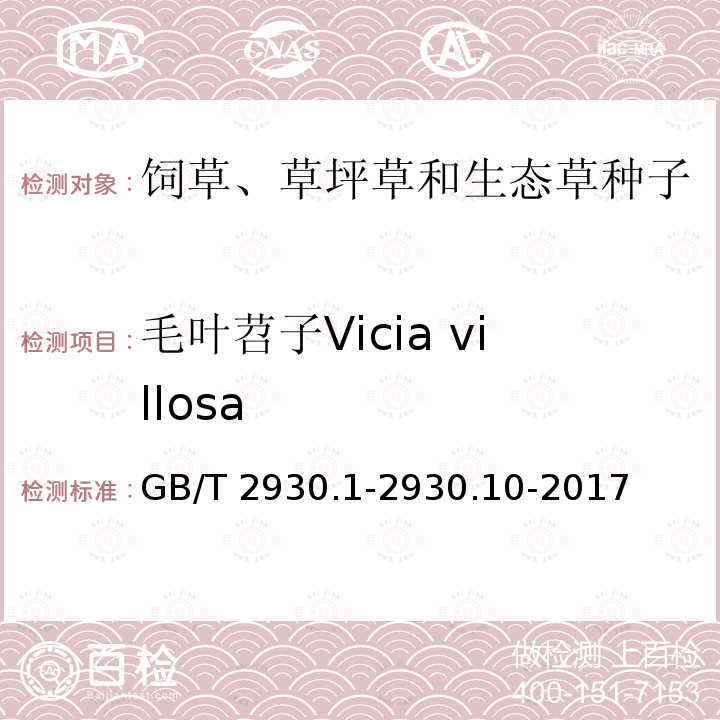 毛叶苕子Vicia villosa GB/T 2930.1-2930  .10-2017