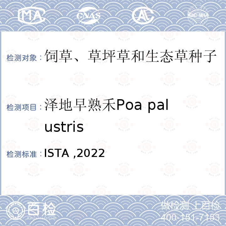 泽地早熟禾Poa palustris ISTA ,2022  