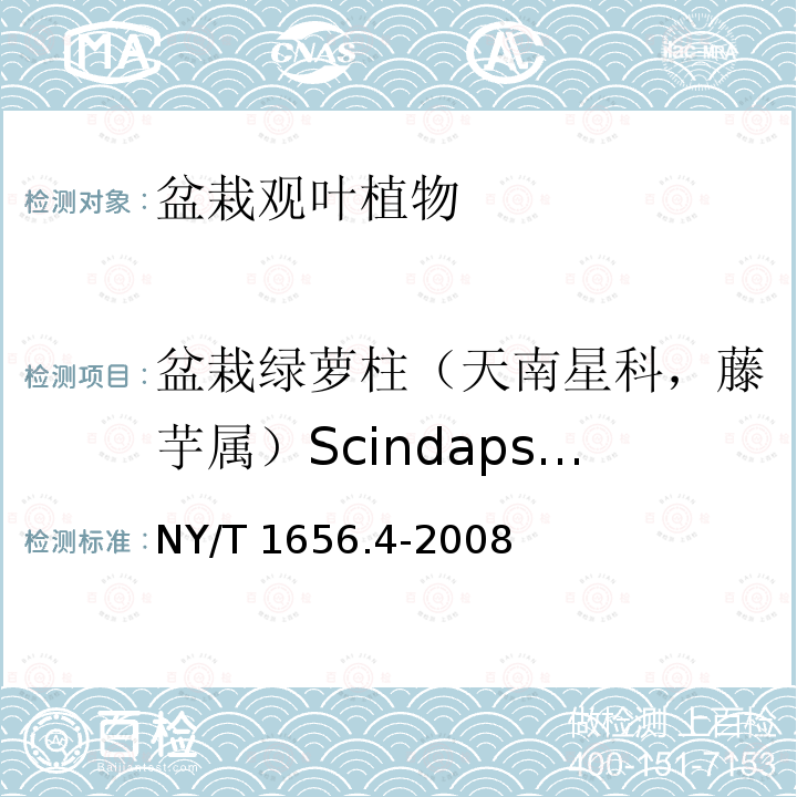 盆栽绿萝柱（天南星科，藤芋属）Scindapsus aureus 盆栽绿萝柱（天南星科，藤芋属）Scindapsus aureus NY/T 1656.4-2008
